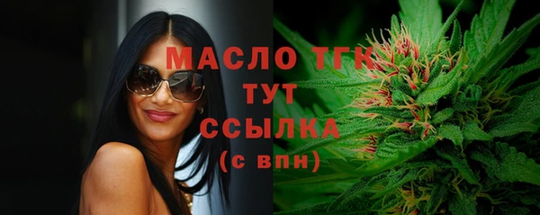 соль ск Богданович
