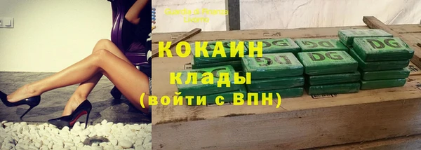 соль ск Богданович