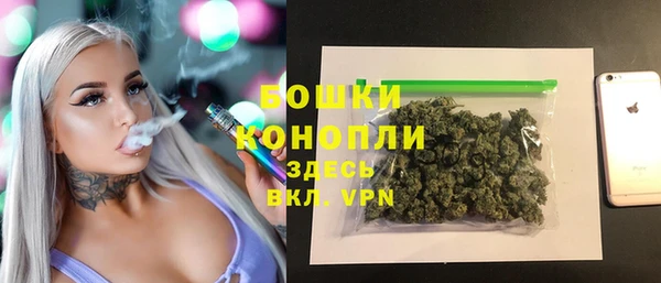 PSILOCYBIN Богородск