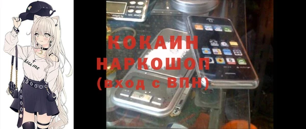 соль ск Богданович