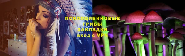 соль ск Богданович