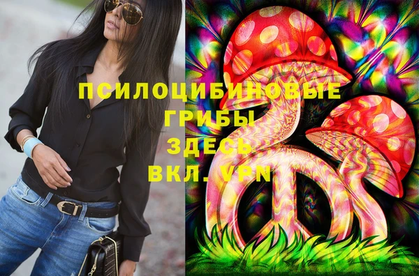 соль ск Богданович