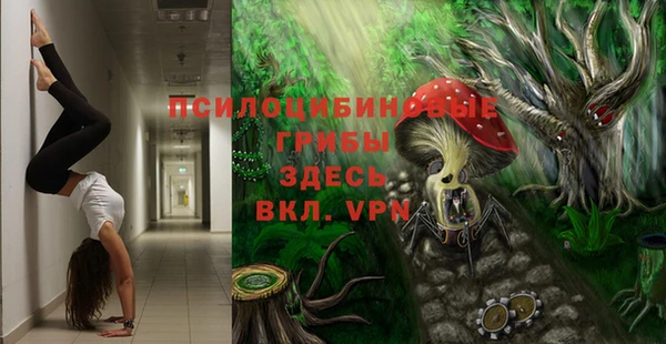 PSILOCYBIN Богородск