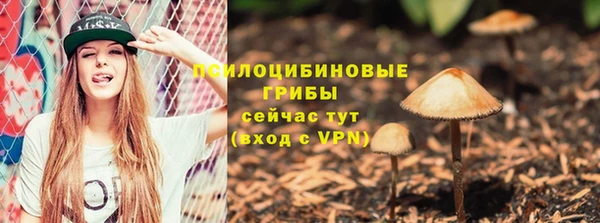 PSILOCYBIN Богородск