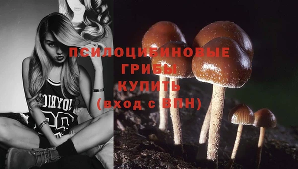 apvp Богородицк
