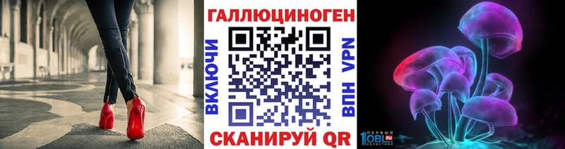 Псилоцибиновые грибы Psilocybe  Малая Вишера 