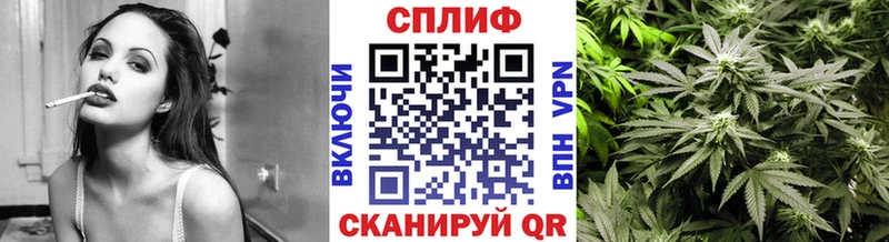 купить   Малая Вишера  Канабис OG Kush 
